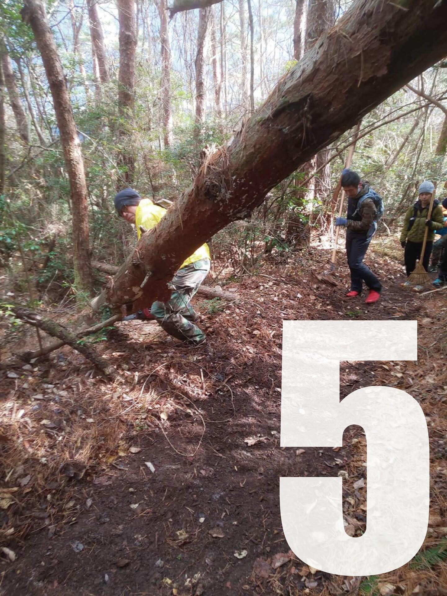 ・・
【MMMニュース】 エントリー締切まであと5日!🐂 整備も着々と進めていますよ〜⛰️🍂🧹 10/4、18の整備イベントも
絶賛!参加者募集中です!!!!! #トレイル整備はロマン✨
#お喋りしながらゆるっと🍵