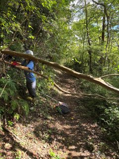 ・・
【MMM🐮ニュース】  この3連休も各地で様々なレースが
開催されていましたね！👏✨  選手、スタッフ、応援
みんなみんな、お疲れ様でしたーーー！！！  さて！MMMも着々と準備！準備！
トレイルランニングレースの
1番のおもてなしってな〜に？🤔  豊富なエイド食！？
豪華な参加賞！？
綺麗な景色！？  どれも大事なポイントだけど
忘れちゃいけないのが
きちんと整備されたコースでしょ🍂🧹✨  倒木ゼロを目指して倒木バスター＆
草刈りチームが、ふかふかトレイル♨️で
最高に気持ちよく走れる、いや！
走らされる（笑）コースで選手を
おもてなし、します💛  整備イベントも10/18（土）に開催！
未経験の方も楽しくお喋りしながら
MMMコース、ふかふか♨️にしちゃいましょ🙆‍♀️  申込は10/15(水)〆
プロフィールor以下URLから！
▼▼▼▼▼▼▼▼▼▼▼▼▼▼▼▼▼▼▼▼▼▼
@running_drunkers 
https://moshicom.com/131468