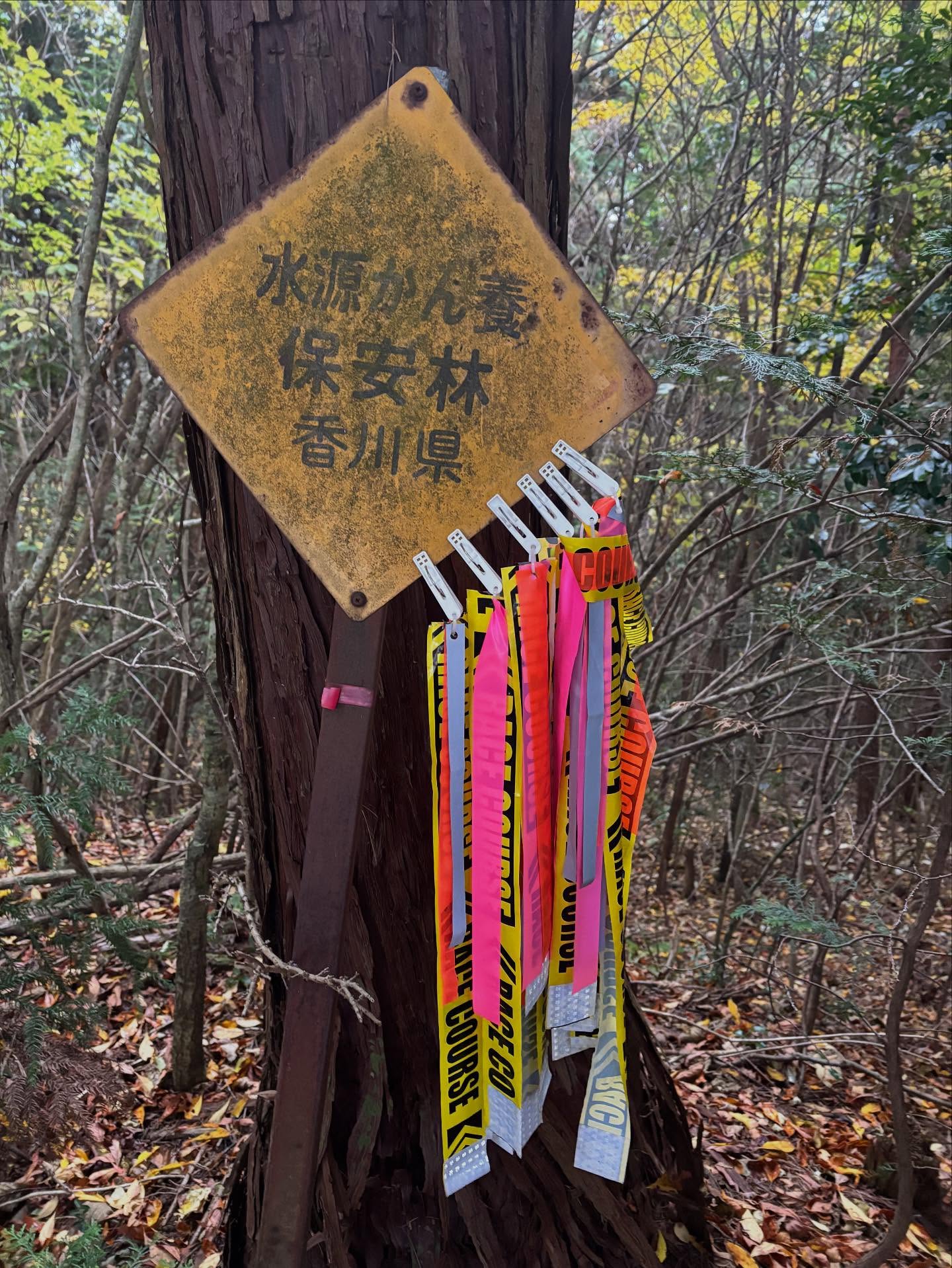 MMM最後のマーキング回収終了〜🏃‍♂️✨✨選手の皆さんのおかげでゴミも落ちておらず綺麗なトレイルでした！ありがとうございます🙏  マーキングを1箇所にまとめてくれた方もありがとうございます（ランナー？ハイカー⁇）  そして本日も天気予報に反して……雨でした☔
来年は晴れて欲しいなぁ〜〜〜🤔
#マンノウマウンテンマッドネス 
#猿がマーキングちぎってるやん〜