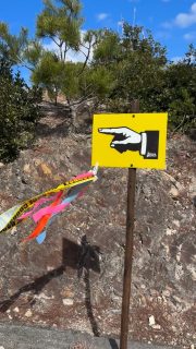 【善通寺空海トレイル2026】ニュース🏃♂️🏃 本日トレイルコースマーキングして来ました✨✨
今日は暖かく試走ランナーもハイカーも沢山 めちゃくちゃ気持ち良い五岳山でございました!
お会いした皆さん、お声掛けありがとうございました✨ もうすぐ春だなぁ〜🌸
なんて思ってたら👀‼️ 来週の大会開催日は…雨予報☔☔☔ 雨が降ると格段に冷えるのが…善通寺トレイル☔️
レインウェア(必携品です☝️)や防寒の長袖などの準備をお忘れなく!持ってない人は明日の休日に買いに行きましょ〜🙏 選手の皆様へ
雨天予報などで追加注意事項などあれば、水曜日までを目処にエントリー時に登録頂いたメールアドレスにご連絡しますのでご確認ください🙏✨ ああ…天気予報変わらんかなぁ…