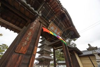 【善通寺トレラン🙏ニュース】  すでに善通寺ロスな選手の皆さま
お待たせしました☝️  昨夜モシコム経由でご連絡しましたとおり
ランドライベントでお馴染みの
真木カメラマンの写真販売を開始しました！  数々のフォトコンテストで
受賞歴のある真木カメラマン📸✨  躍動感あふれる選手の姿に
あの熱気と感動が蘇ってきます🔥  選手の皆様は、2026大会の記念に
ぜひ購入をご検討ください🙏  @maqfoto  #大会の一瞬一瞬を
#選手の感動と記憶を
#ファインダー越しに見る世界
#いつもありがとう🤍