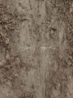 【ランドラ🏃‍♂️ニュース】  2025年もRUNイベントを通じて
たくさんの笑顔、挑戦、感動に
出逢いました👏✨✨✨  善通寺の五岳を駆け抜け
UUMでお腹いっぱいうどんを満喫
蔦島のビーチで汗を流し海へドボン
MMMでは過酷なトレイルで
多くのランナーたちが
自分自身の限界に挑戦！！！  そしてランドラの活動は、
ただ走るだけではありません✋  自然と向き合い、地域を感じ、仲間と語らい、
ランニングがつくる“つながり”を大切に  ビーチクリーン活動やトレイル整備
ランナーだけでなく地域の方々とも一緒に
「走る」を通じた素敵な時間を
たくさんの方と共有できたことを
心から嬉しく思います🐒💓  出逢ったすべてのランナーへ
支えてくれたスタッフへ
関係者の皆さまへ
そして家族や友人のように寄り添ってくれた
“ランニングの魅力に心酔した” ドランカーズたちへ
本当にありがとうございました！！！  2026年も
走る喜びを感じられる場をつくり、
より多くの方と一緒に走り続けます！
来年もどうぞよろしくお願いします🏃‍♂️🏃‍♀️💫  #どの写真も良すぎて選べれないぞ2025
#会社理念を改めて作った2025
#スタッフ紹介ページも始めた2025
#2025イベントも振り返りましょ〜
#あなたはどのイベントに参加した！？🫶  📍2/1 善通寺五岳山空海トレイル整備
📍2/15 善通寺五岳山空海トレイル整備
📍2/22 【第６回】善通寺五岳山空海トレイル 2025
📍4/5-6 ウルトラうどんマラニック2025中讃スペシャル
📍5/10 蔦島コース整備
📍5/17 いいのわたるトークイベント
📍5/18 蔦島トレイルランニングレース2025 
📍6/7-8 石川弘樹トークイベント
📍10/4 MMMトレイル整備（其の１） 
📍10/18 MMMトレイル整備（其の2） 
📍11/1-2 MANNO MOUNTAIN MADNESS 2025